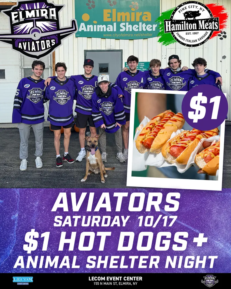 Elmira Aviators on Instagram