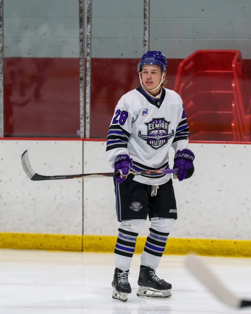 Elmira Aviators on Instagram