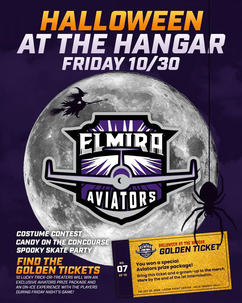 Elmira Aviators on Instagram