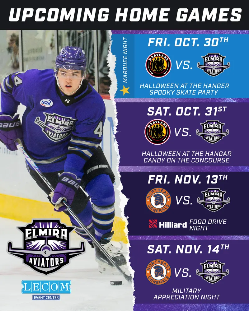 Elmira Aviators on Instagram