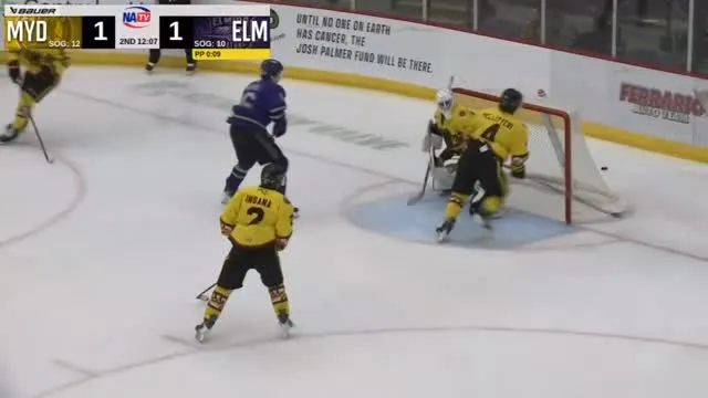 Elmira Aviators on Instagram